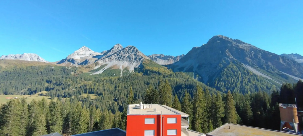 Paradies 104