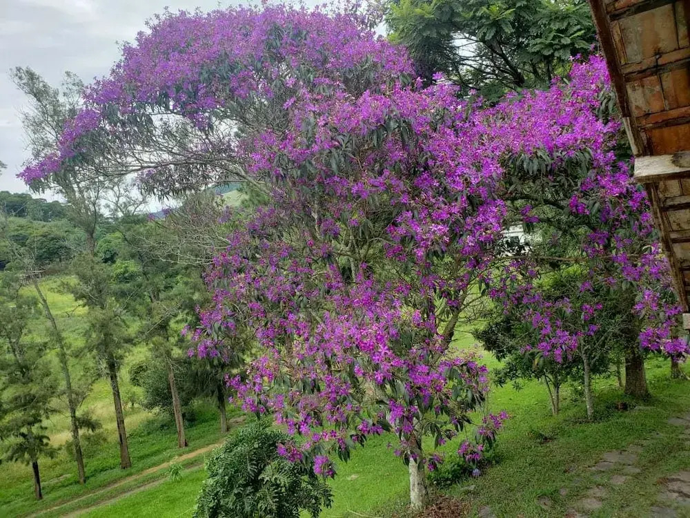 Sitio Três Porteiras