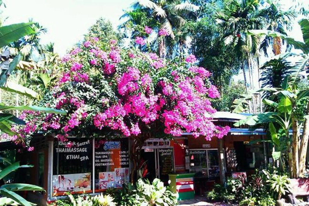 Khaosok Secret Hostel
