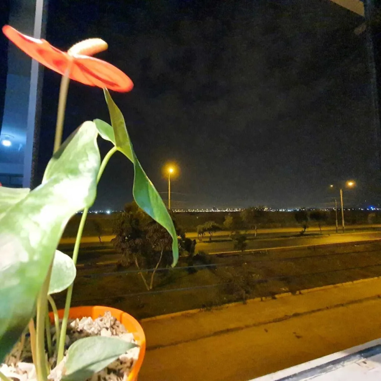 Lima Airport Hostel