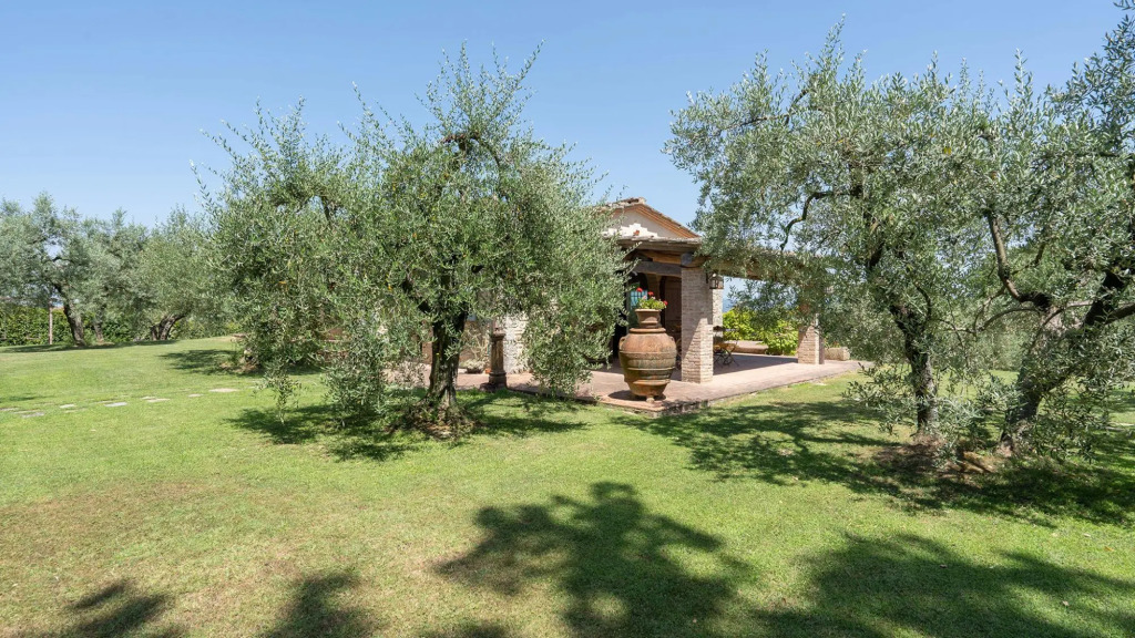 LOliveta 6, Emma Villas