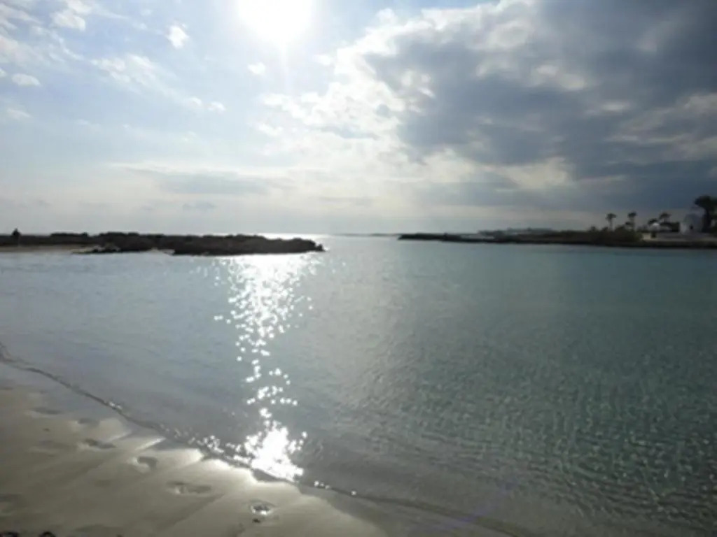Nissi Sandy Bay C09