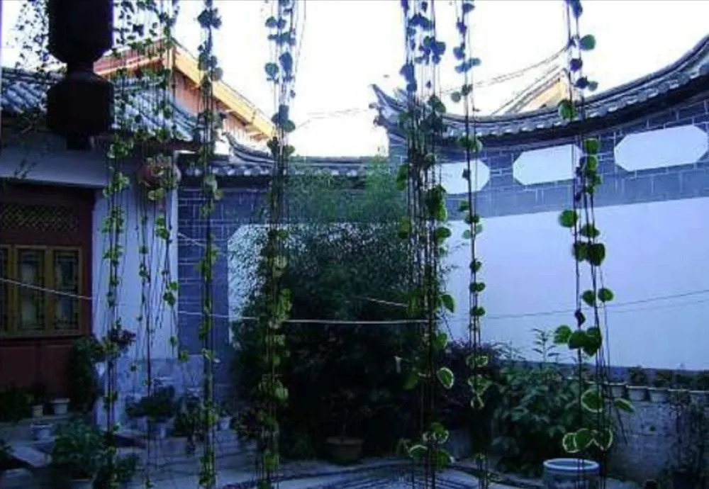 Wolong Inn