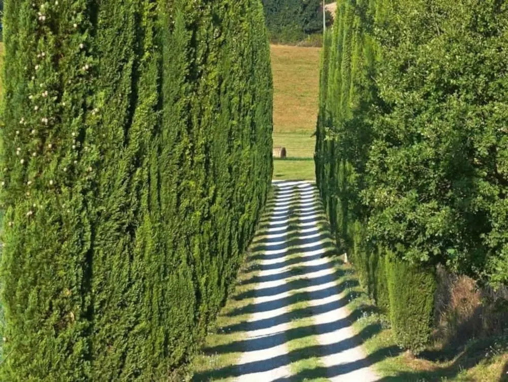 Agriturismo Poggiovaccaio
