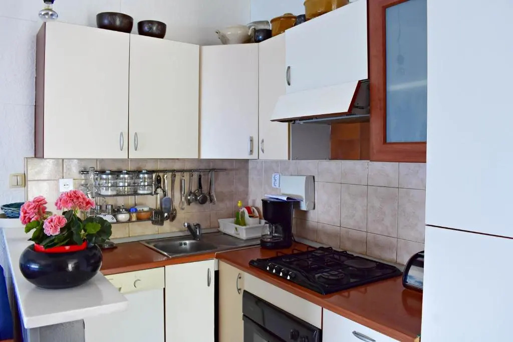 Apartment Aneta