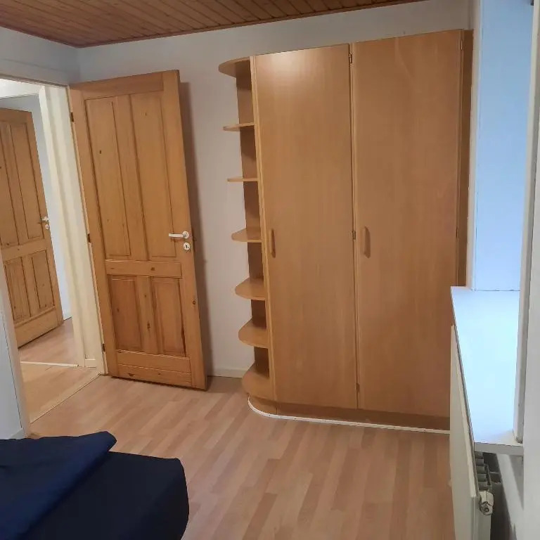 Agervej 45, Borris