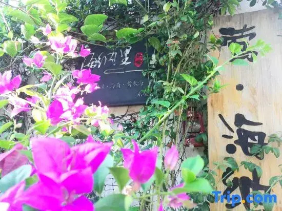 Yinghainali