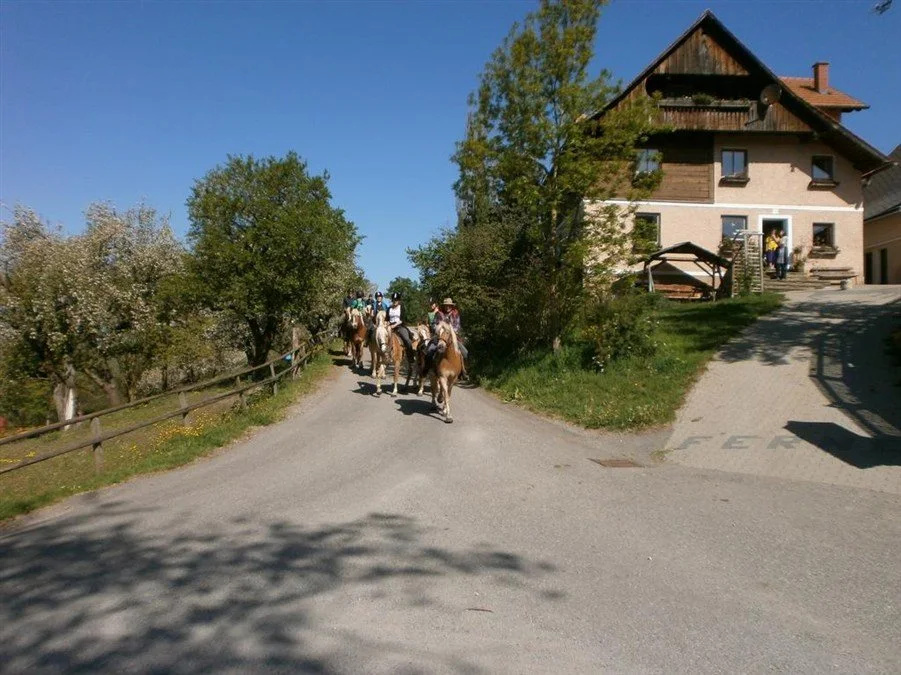 Reitbauernhof Ferner