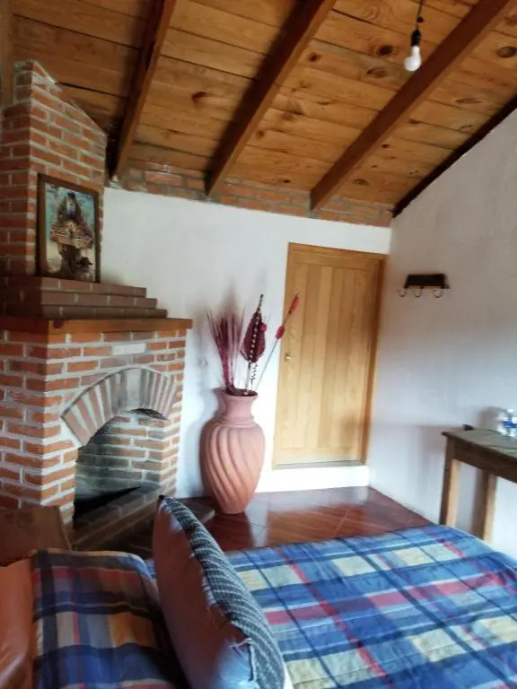 Cabañas los cactus 2