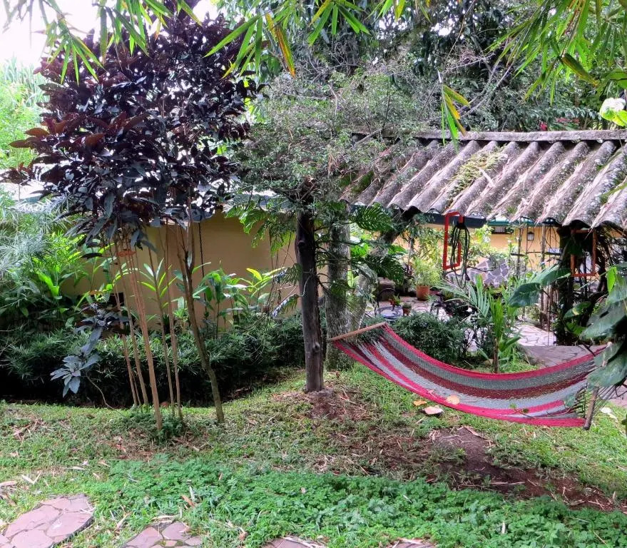 Pura Vida Hotel
