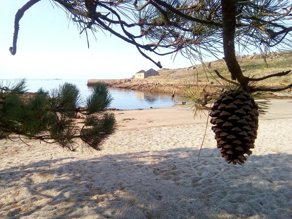 House With one Bedroom in Cee, Caneliñas, With Wonderful sea View and