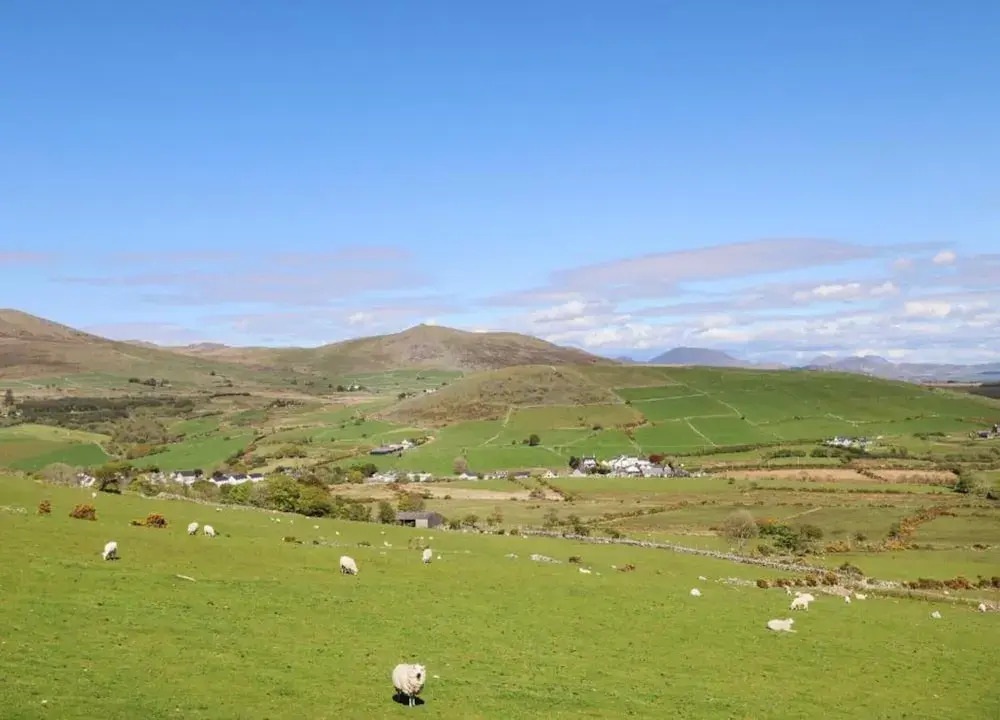 Lakeside Shepherd's Hut Retreat, No Deposit