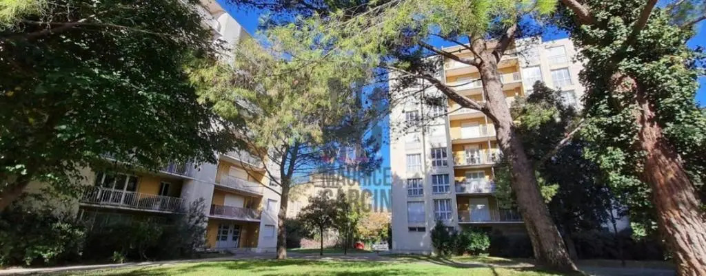 Avignon / Grand studio de 37m2 + terasse ceinture verte