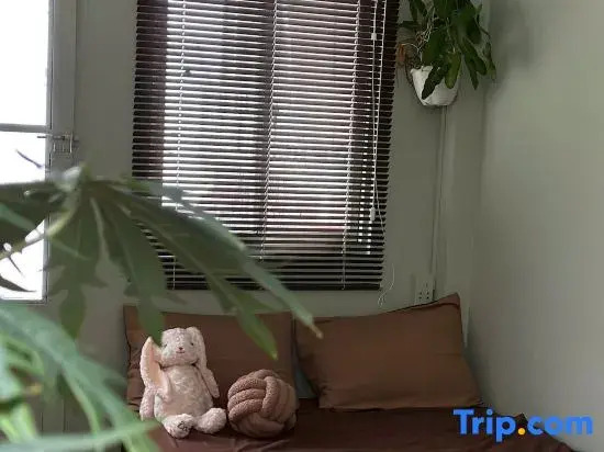 House - homestay sg district 1 HCM