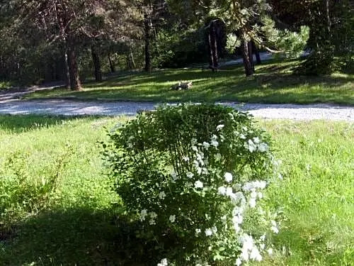 Domaine de Lara