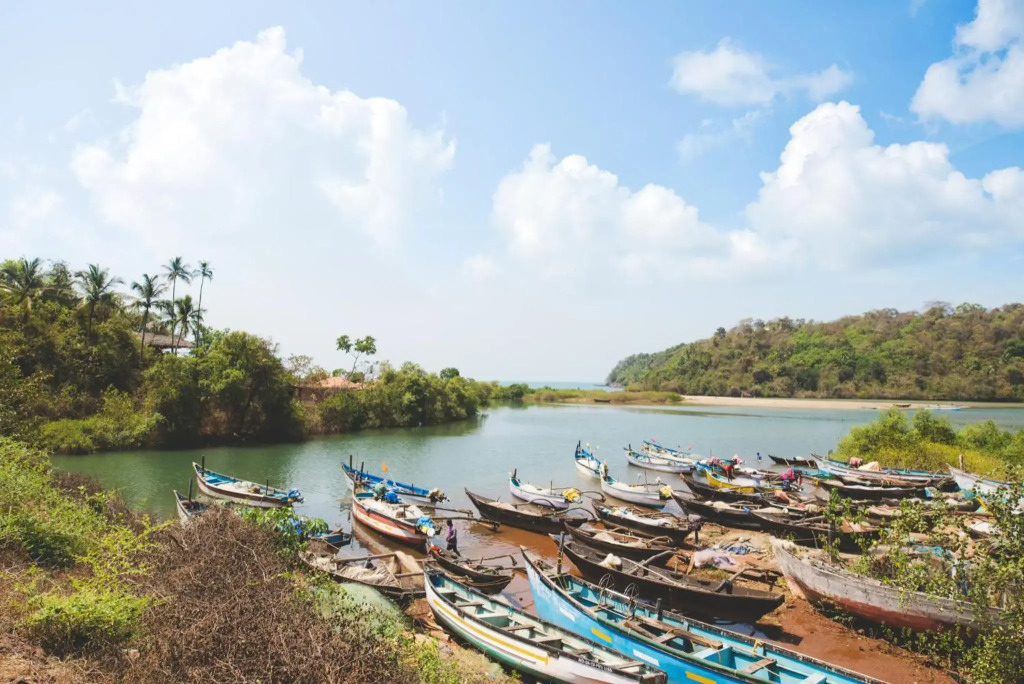 The Bay Agonda