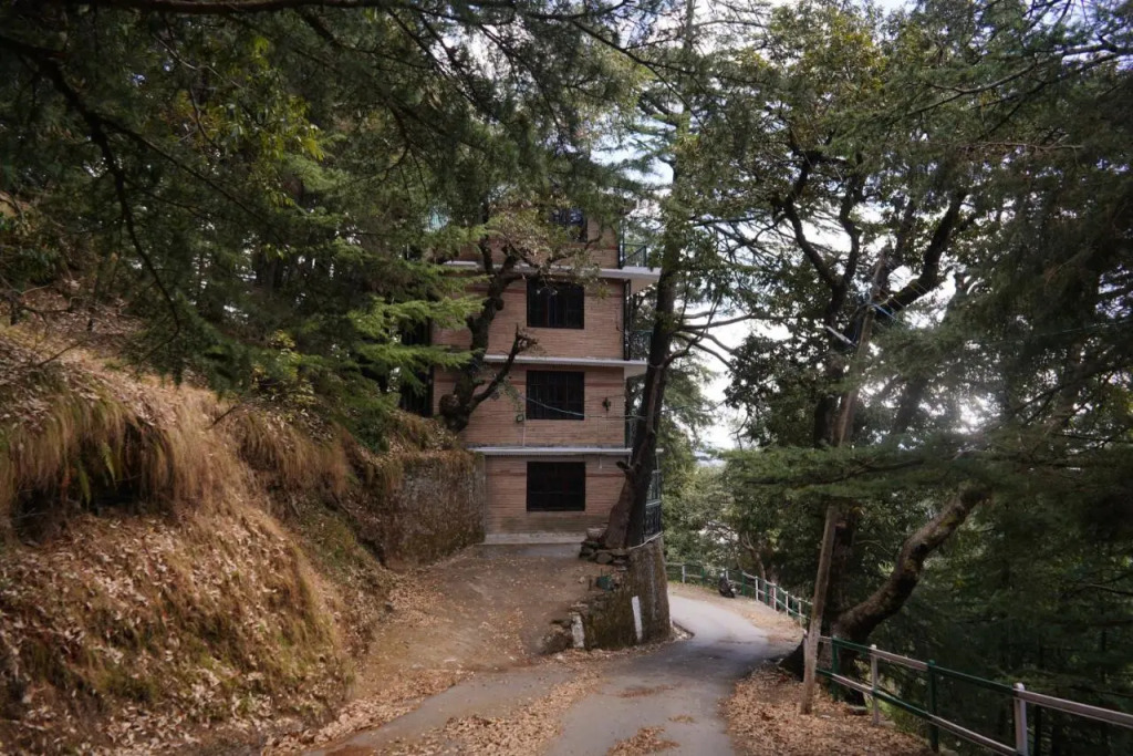 Jakhu Vibes | Valley-View Rooms