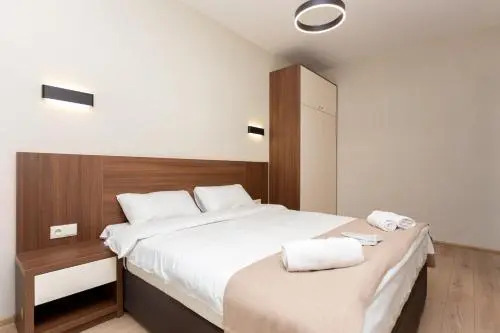 Flat 1 Bedroom 1 Bathroom - Bakuriani