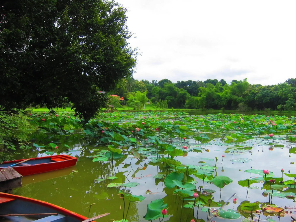 Mae Rim Lagoon