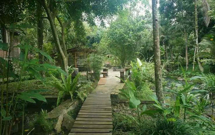 Mi Casa - The gem of Ijen