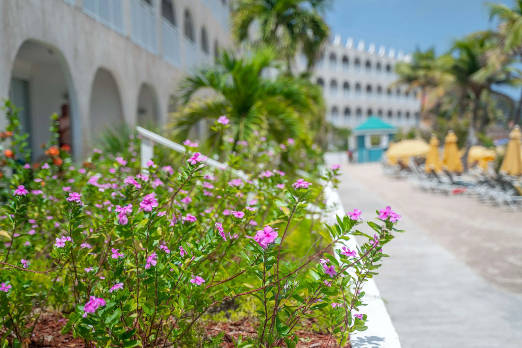 Belair Beach Hotel