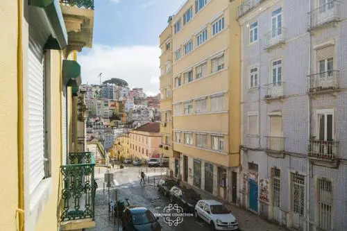 Moniz Door 60 By Lisbonne Collection