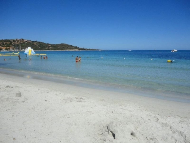 I Corbezzoli