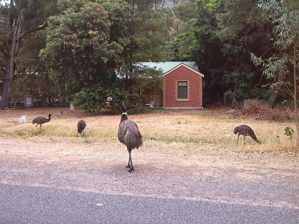 Heatherlie Cottages Halls Gap