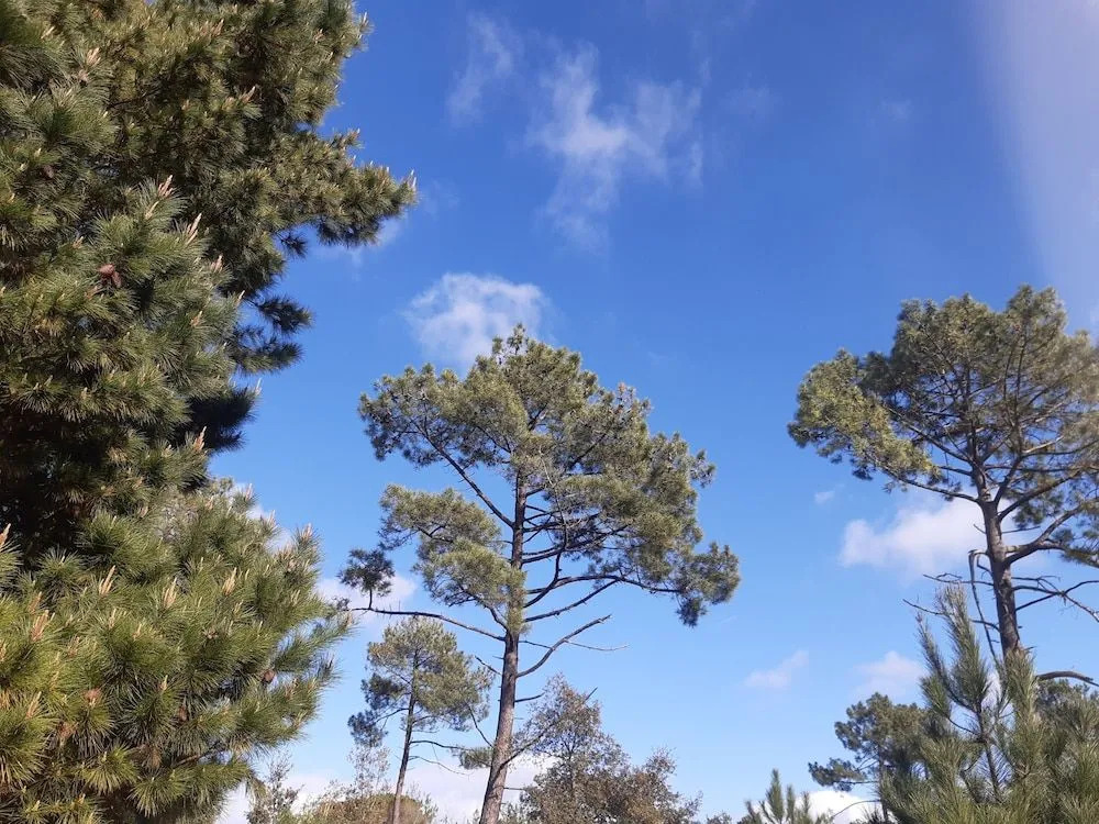 Cale 32 - Chambres dhôtes