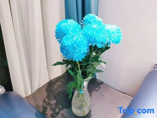 泊金青年旅舍-深圳北站店