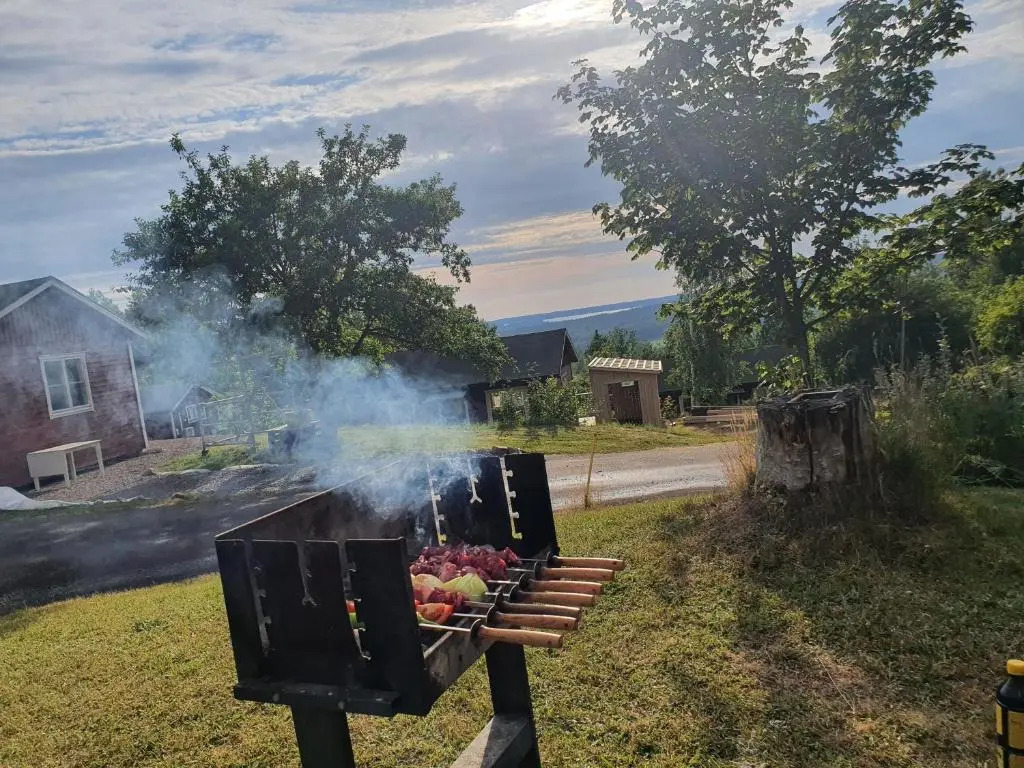 Utsikt mot viken