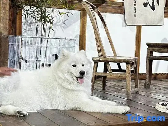 Qingcheng Mountain Wuwei Homestay