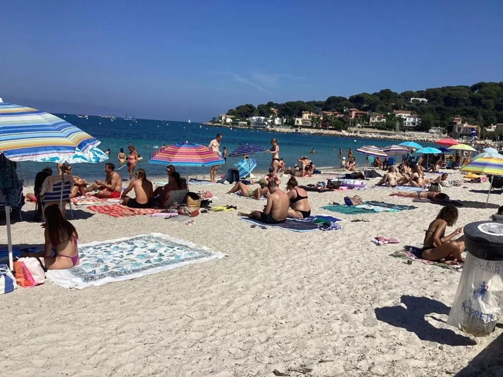 Ermitage studio, front de mer, plage 200m