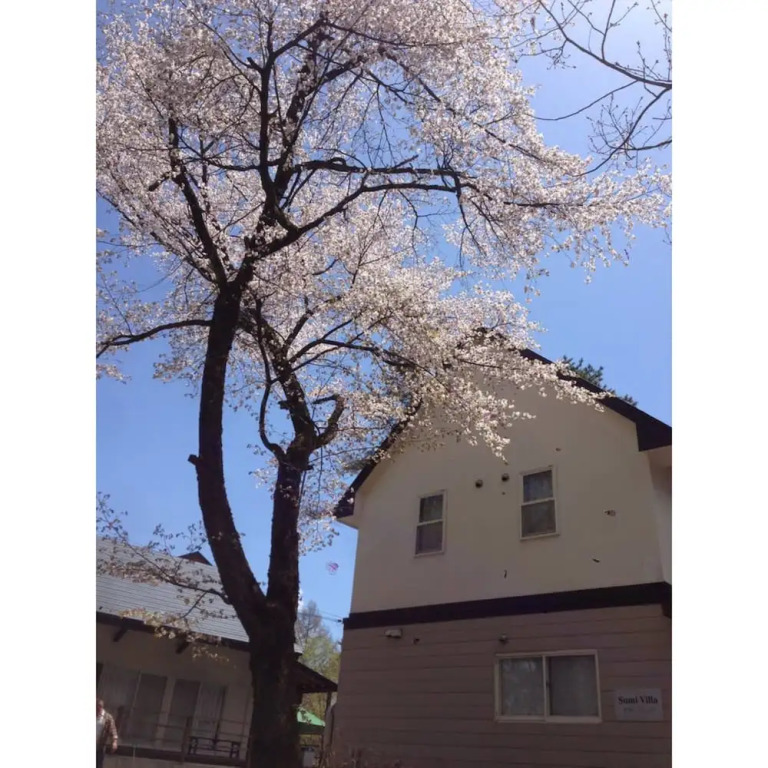 Sumi Villa Hakuba- Vacation STAY 83017