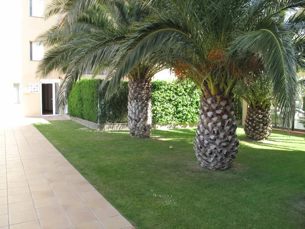 Apartment in Roses Near Sandy Beach