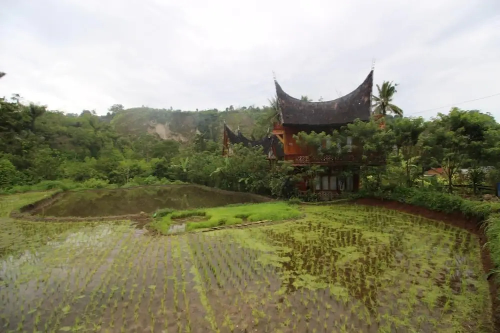 Padi Ecolodge