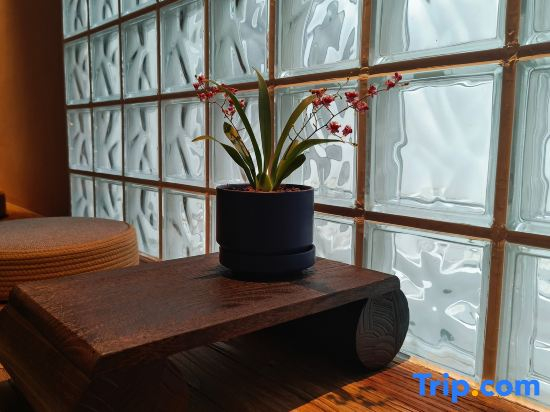 Xi Hotel (Changsha Wuyi Square IFS)