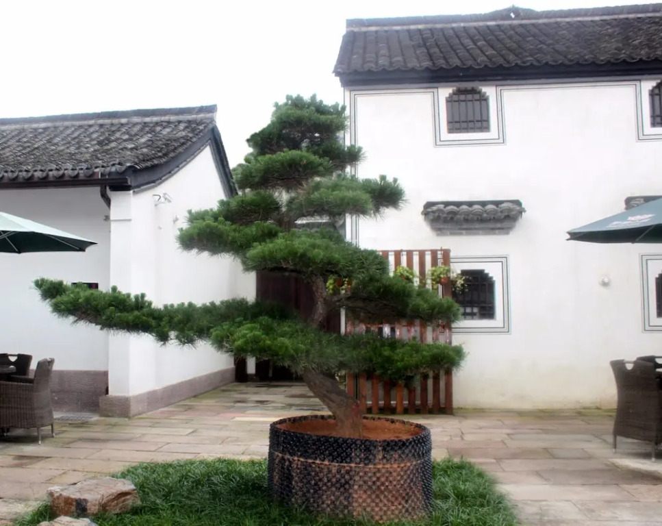 Courtyard-Lestay