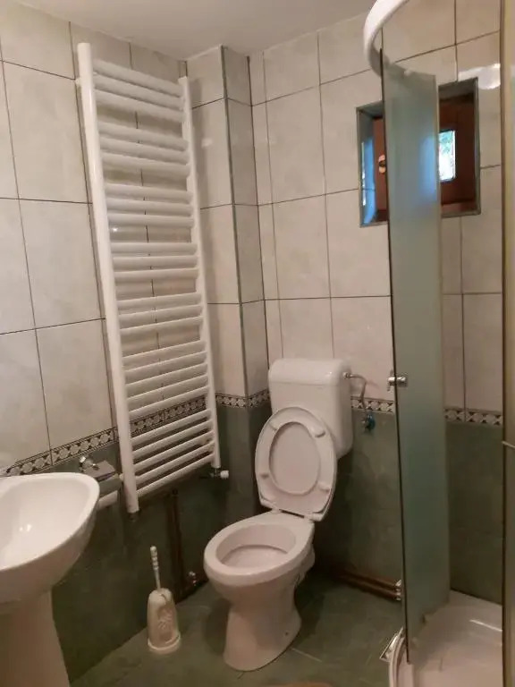 Casa de vacanta Padis