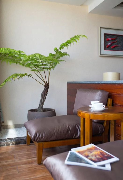 Grandma's Maomaocool Travelling Hotel
