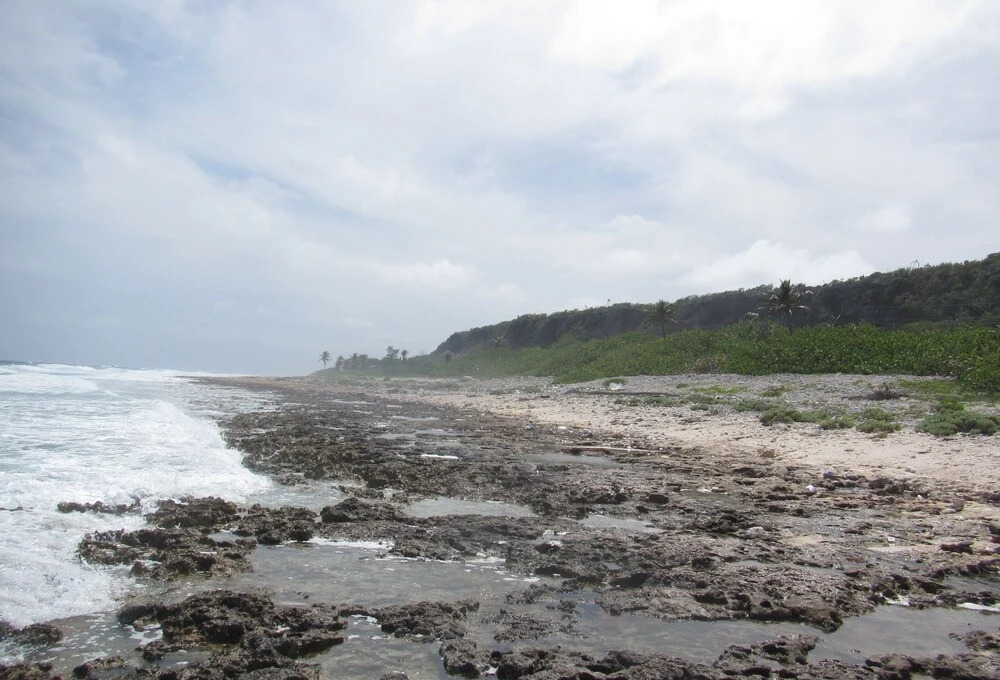 Cayman Breakers