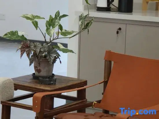 Zhengding Jiaoye Art Homestay