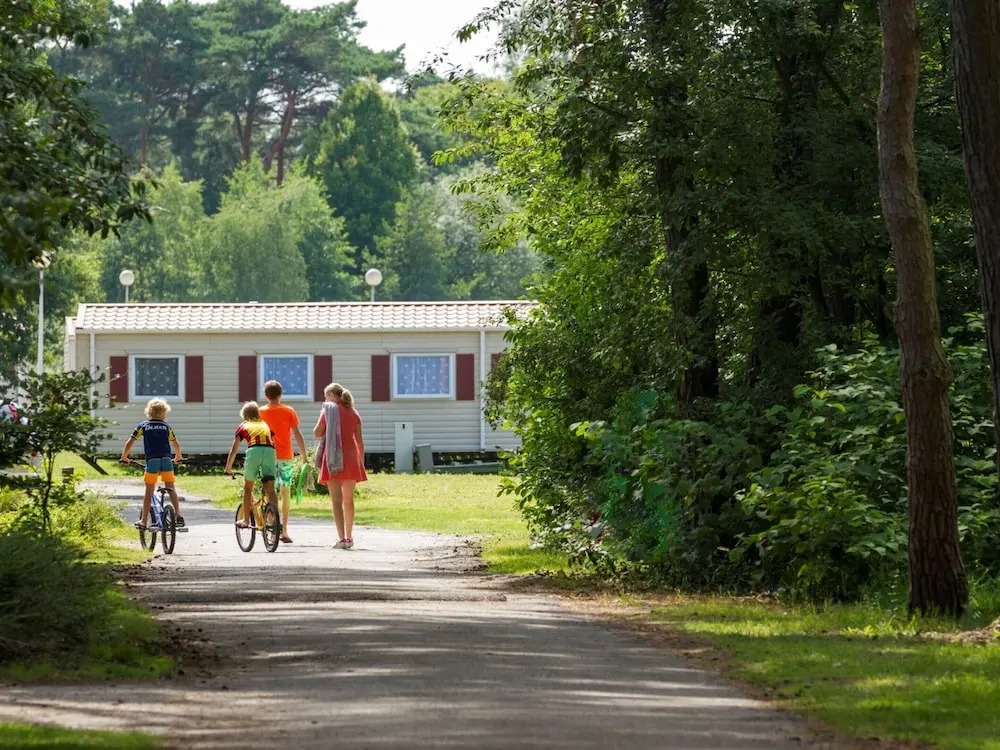 Comfortable Chalet in the Green Kempen