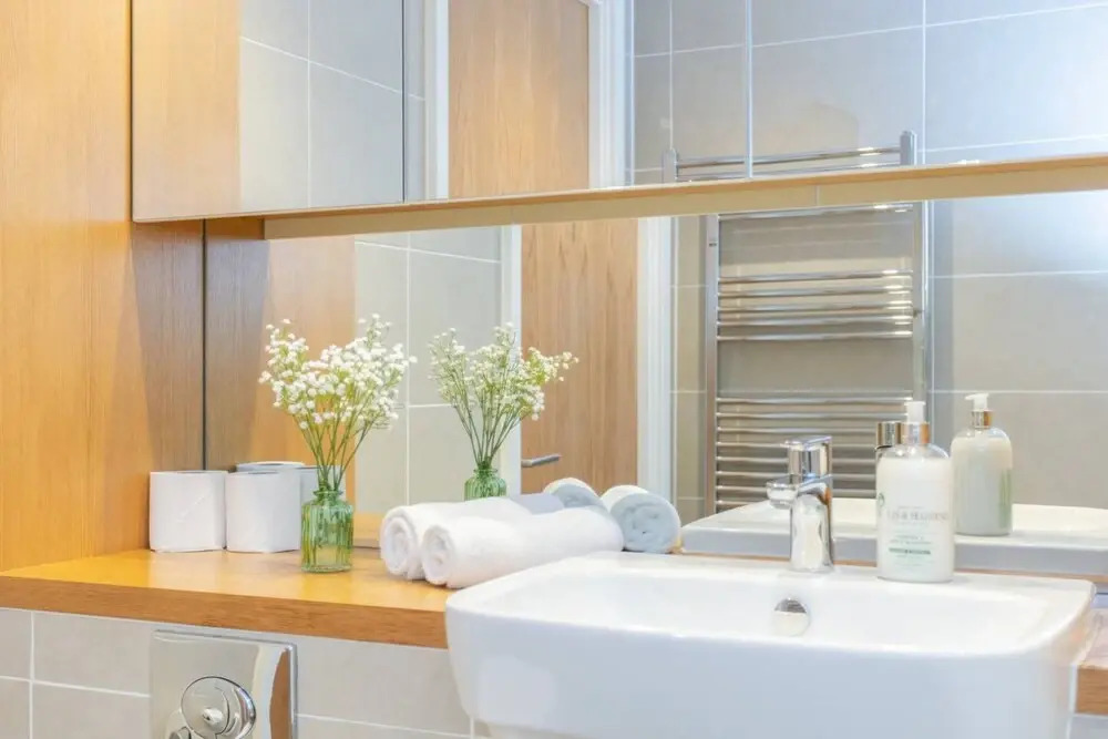Contemporary 1 Bedroom Apartment in Canning Town With Balcony