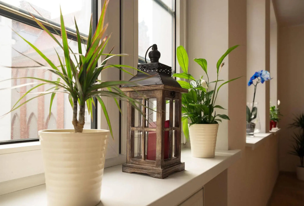 Apartamenty VNS