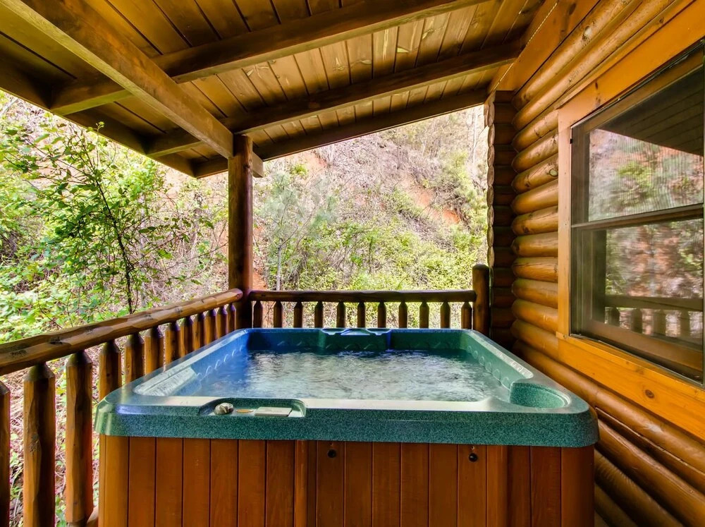 Bear Paws Too 1 Bedroom 1 Bathroom Cabin