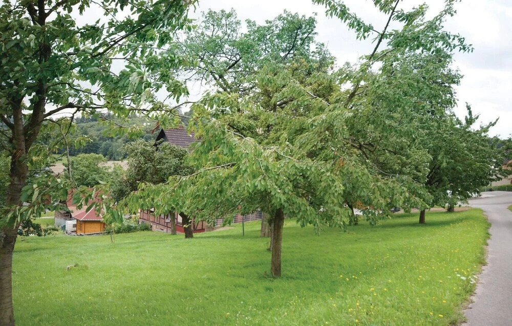 Awesome Apartment in Lügde With 2 Bedrooms and Wifi