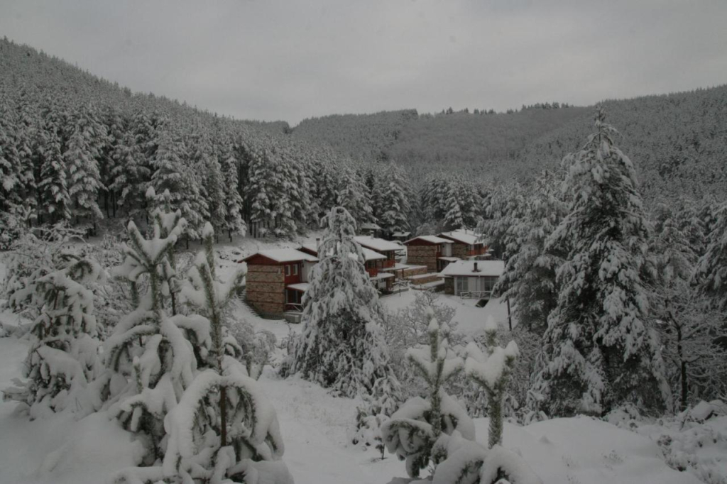 Guesthouses Prav Kamen