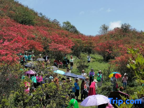 Rongshui Gulou Farm Hotel
