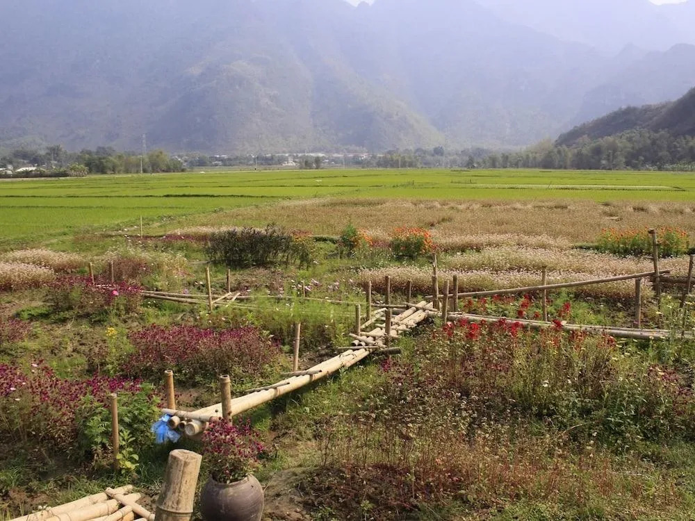 Ume Homestay